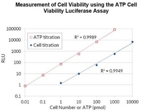 ATP Cell Viability Luciferase Assay A highly sensitive firefly luciferase cell based assay for quantifying ATP in cell cultures used to measure cell viability.