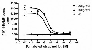 ChemiSCREEN Human M3 Muscarinic Acetylcholine Receptor Membrane Preparation Human M3 GPCR membrane preparation for Radioligand binding Assays &amp; GTPγS binding.