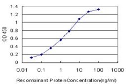 Monoclonal Anti-HOXD11 antibody produced in mouse clone 6D8, purified immunoglobulin, buffered aqueous solution