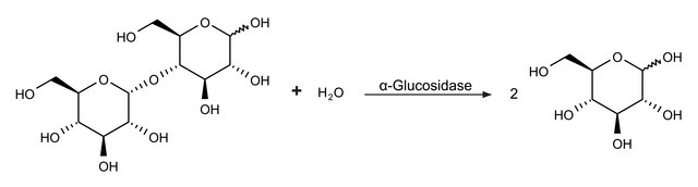 &#945;-葡萄糖苷酶 来源于酿酒酵母 Type I, lyophilized powder, &#8805;10&#160;units/mg protein (using p-nitrophenyl &#945;-D-glucoside as substrate.)