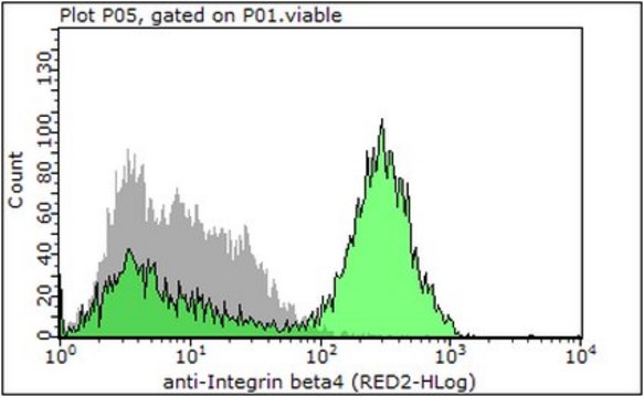 Anti-Integrin B4 Antibody, clone ASC-8, Azide &amp; Ascites Free clone ASC-8, from mouse