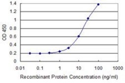Monoclonal Anti-PMS2, (C-terminal) antibody produced in mouse clone 4A8, purified immunoglobulin, buffered aqueous solution