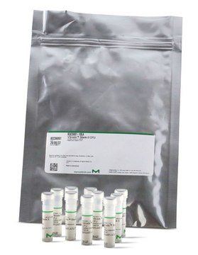 Enterococcus faecium WDCM 00010 Vitroids&#8482; 130-300 CFU mean value range, certified reference material, suitable for microbiology