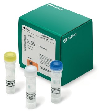 TempliPhi&#8482; Sequence Resolver Kit Cytiva 28-9035-31, sufficient for 200&#160;reactions