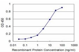 ANTI-NEUROG1 antibody produced in mouse clone 4G10, purified immunoglobulin, buffered aqueous solution