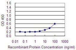 Monoclonal Anti-FBXL7 antibody produced in mouse clone 2G10, purified immunoglobulin, buffered aqueous solution