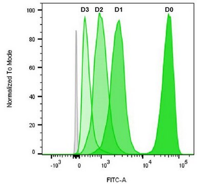 BioTracker 488 绿色CSFE细胞增殖试剂盒 Live cell imaging cell proliferation kit based on carboxyfluorescein succinimidyl ester (CFSE) used for fluorescent cell labeling in flow cytometry applications.