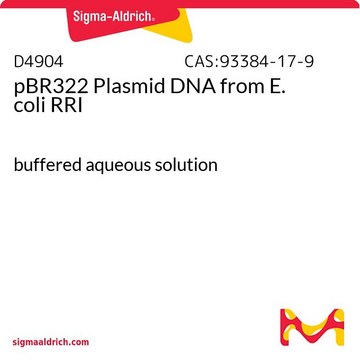 pBR322质粒DNA 来源于大肠杆菌 RRI buffered aqueous solution