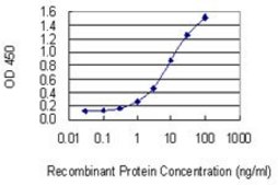 Monoclonal Anti-CD84 antibody produced in mouse clone 3G10, purified immunoglobulin, buffered aqueous solution