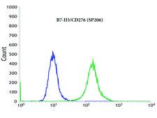 Anti-B7-H3/CD276 antibody, Rabbit monoclonal recombinant, expressed in proprietary host, clone SP206, affinity isolated antibody