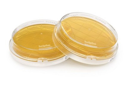 Tryptic Soy Agar - Ready-to-use Contact Plates IsoBag&#174;, Lecithin, Sodium Thiosulfate, Tween&#174;, Histidine, ICR with non-lockable lid, plate diam. 55&#160;mm, 190 mm DPTE&#174; alpha-port, sterile; irradiated, pack of 100&#160;plates, suitable for surface monitoring