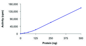 EIF2AK4 (192-1024), active, GST tagged human PRECISIO® Kinase, recombinant, expressed in baculovirus infected Sf9 cells, ≥70% (SDS-PAGE), buffered aqueous glycerol solution