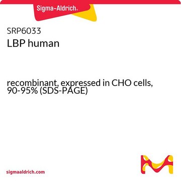 LBP human recombinant, expressed in CHO cells, 90-95% (SDS-PAGE)