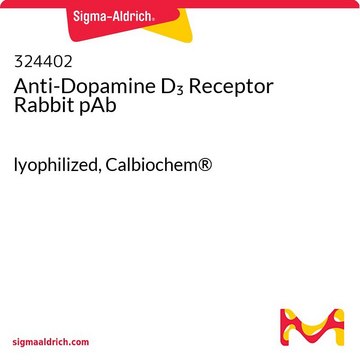 Anti-Dopamine D&#8323; Receptor Rabbit pAb lyophilized, Calbiochem&#174;