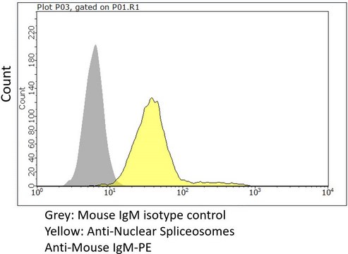 Anti-Nuclear Spliceosomes Antibody, clone 780-3