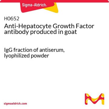 Anti-Hepatocyte Growth Factor antibody produced in goat IgG fraction of antiserum, lyophilized powder