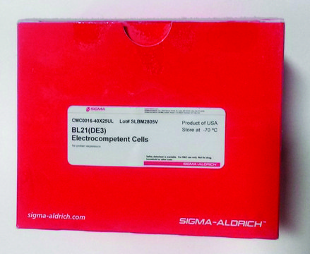OverExpress&#8482; C41(DE3) pLysS Chemically Competent Cells for the highest protein expression
