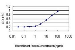 ANTI-TEK antibody produced in mouse clone 2D7, purified immunoglobulin, buffered aqueous solution