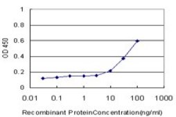 Monoclonal Anti-RLN1 antibody produced in mouse clone 1H6, purified immunoglobulin, buffered aqueous solution