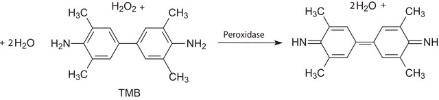 ELISA 用 3,3&#8242;,5,5&#8242;-四甲基联苯胺 (TMB) 液体底物系统 peroxidase substrate