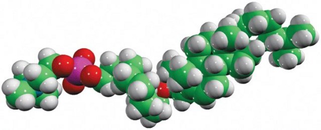 Chol-C10-PC Avanti Polar Lipids 700124P, powder