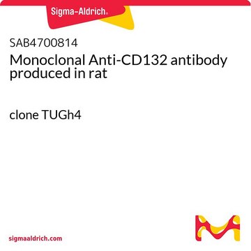 Monoclonal Anti-CD132 antibody produced in rat clone TUGh4