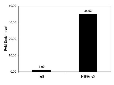 ChIPAb+ Trimethyl-Histone H3 (Lys9) - ChIP Validated Antibody and Primer Set from rabbit