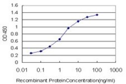 Monoclonal Anti-HSPB8, (C-terminal) antibody produced in mouse clone 5D7, purified immunoglobulin, buffered aqueous solution