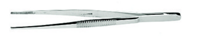 Stainless steel forceps Specimen, L 4 1/2&#160;in.