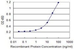 Monoclonal Anti-SH2D1B antibody produced in mouse clone 2B4, purified immunoglobulin, buffered aqueous solution