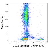 Monoclonal Anti-CD22, purified produced in mouse