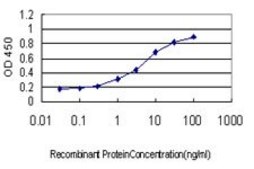 Monoclonal Anti-TCEB3 antibody produced in mouse clone 3E2, purified immunoglobulin, buffered aqueous solution