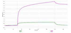 Anti-PKCθ Antibody, clone 2N22 ZooMAb® Rabbit Monoclonal recombinant, expressed in HEK 293 cells