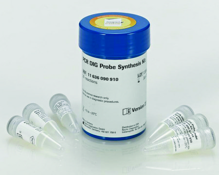 PCR DIG 探针合成试剂盒 sufficient for 25&#160;reaction (50 &#956;L final reaction volume)