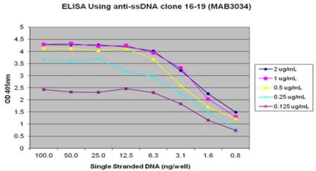 抗-DNA抗体，单链，克隆16-19 clone 16-19, Chemicon&#174;, from mouse