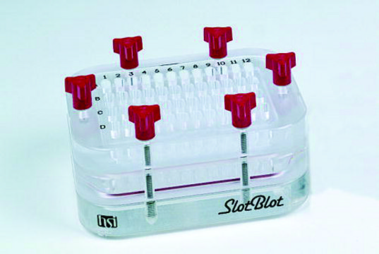 Slot Blot Manifold PR648, pack of 1&#160;ea