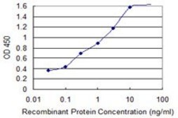 Monoclonal Anti-ATP5E antibody produced in mouse clone 1A8, purified immunoglobulin, buffered aqueous solution