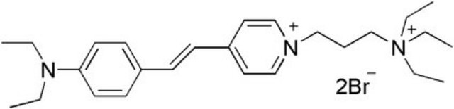 BioTracker 510 Green C2(FM2-10) Synaptic Dye Live cell imaging synaptic dye that detects neural synaptic activitiy at neuromuscular junctions and synapses.