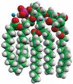 3D-PHAD™ Avanti Research™ - A Croda Brand