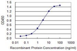 Monoclonal Anti-FGG antibody produced in mouse clone 1E2, purified immunoglobulin, buffered aqueous solution