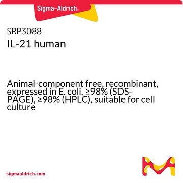 IL-21 人 Animal-component free, recombinant, expressed in E. coli, &#8805;98% (SDS-PAGE), &#8805;98% (HPLC), suitable for cell culture