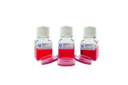 FRIIS Liquid Medium suitable for microbiology, For non-avian mycoplasma detection, pkg of 100&#160;mL (in 125 mL Plastic bottle with Screw cap)