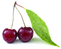 3-甲基-2-丁烯醛 ≥97%, FG