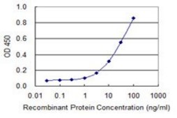 Monoclonal Anti-TOB2 antibody produced in mouse clone 2F2-1A7, purified immunoglobulin, buffered aqueous solution