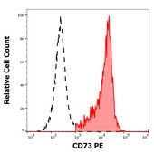 Monoclonal Anti-CD73 PE produced in mouse