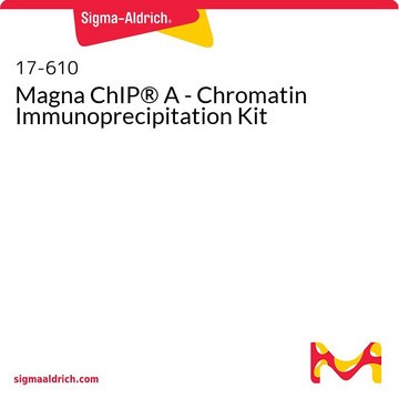 Magna ChIP&#174; A - Chromatin Immunoprecipitation Kit