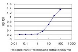 Monoclonal Anti-NEFH antibody produced in mouse clone 2E8, purified immunoglobulin, buffered aqueous solution