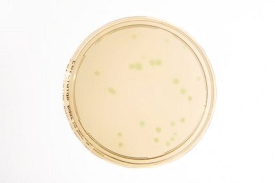 HEIMPLATE Cetrimide agar Heimplate, USP, EP, JP, plate diam. 90&#160;mm, ICR Settle Plate for long Incubation, suitable for microbiology