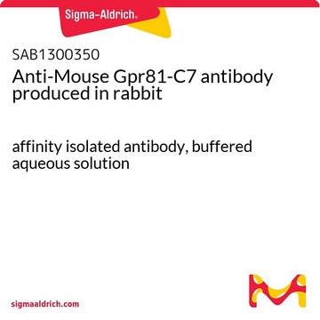 Anti-Mouse Gpr81-C7 antibody produced in rabbit affinity isolated antibody, buffered aqueous solution