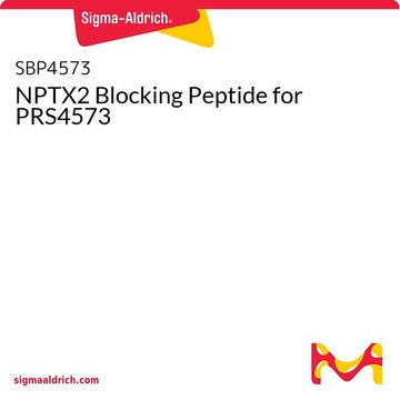 NPTX2 Blocking Peptide for PRS4573